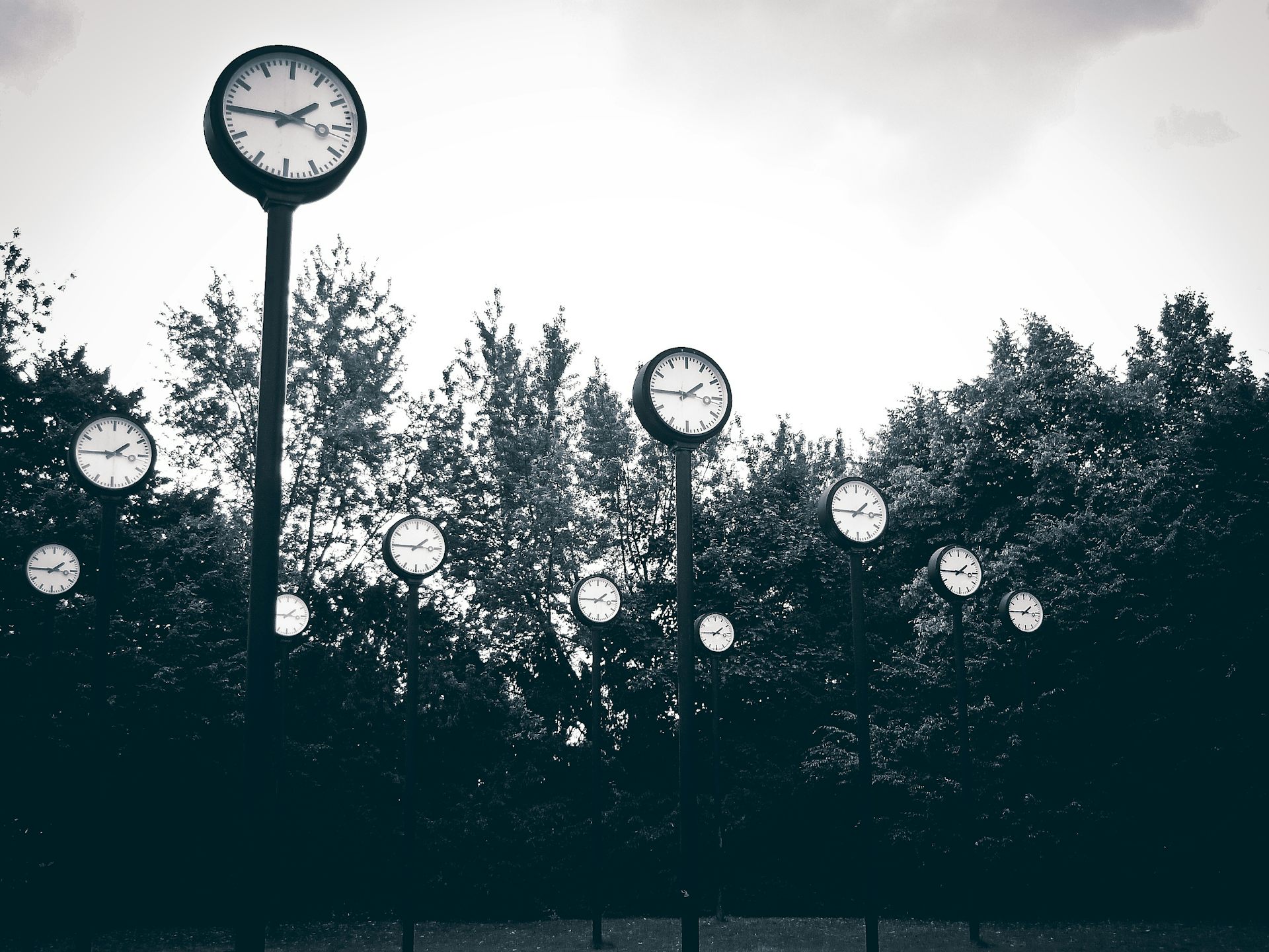 The Minds Past